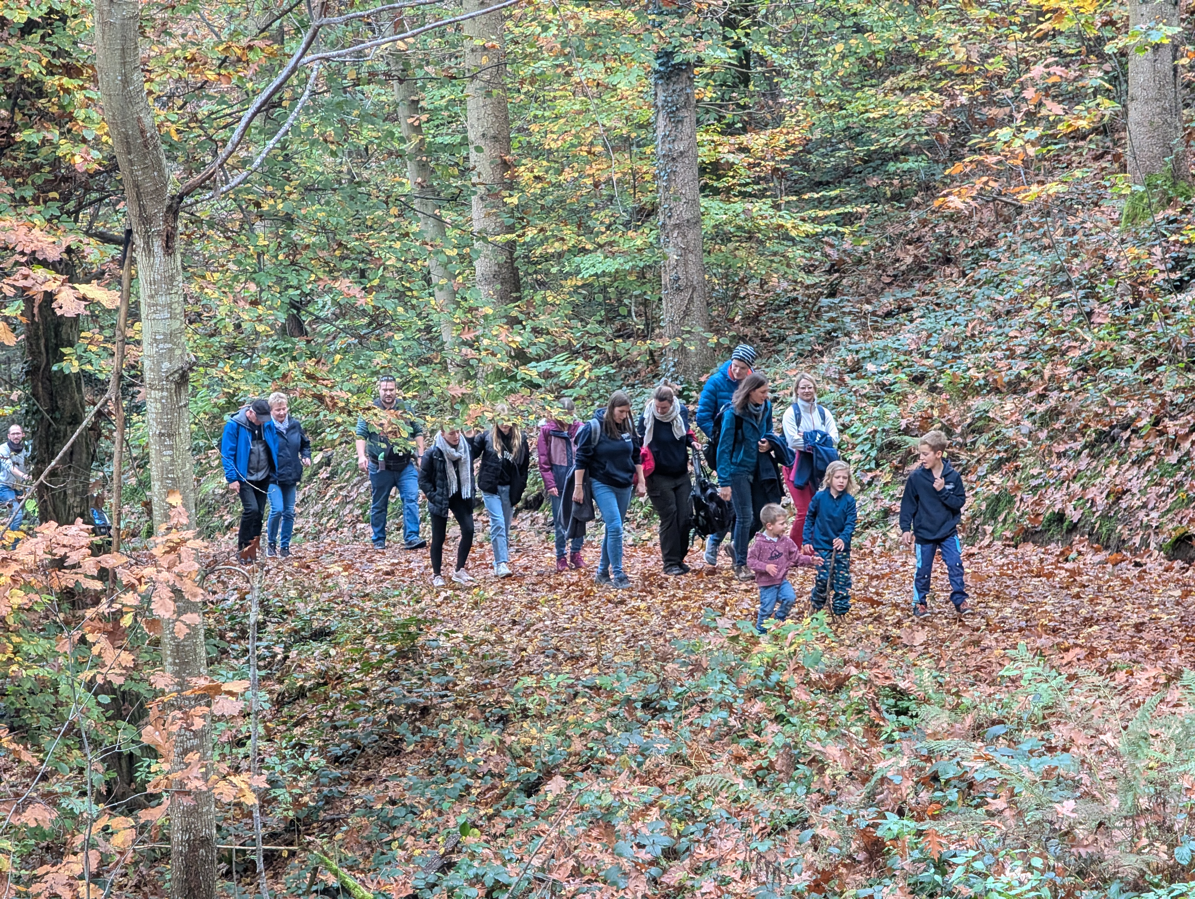 Gemeinsame Wanderung auf dem Entdeckerpfad